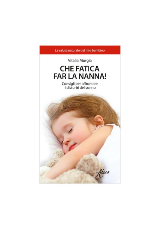 CHE FATICA FAR LA NANNA LIBRO