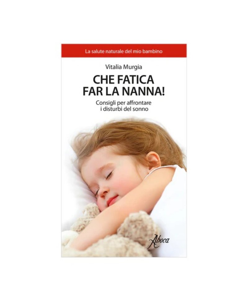 CHE FATICA FAR LA NANNA LIBRO