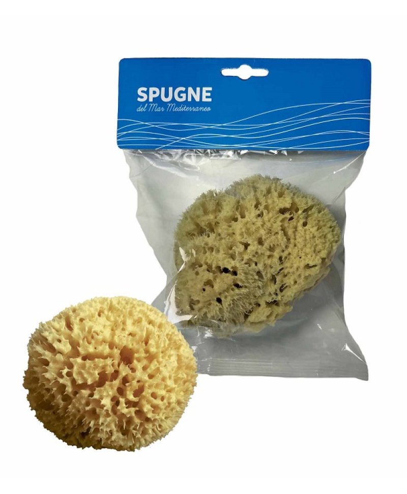 SPUGNA ARCIPELAGO MED NAT 10