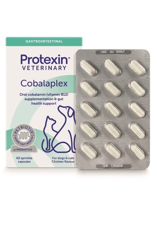 V COBALAPLEX 60CPS