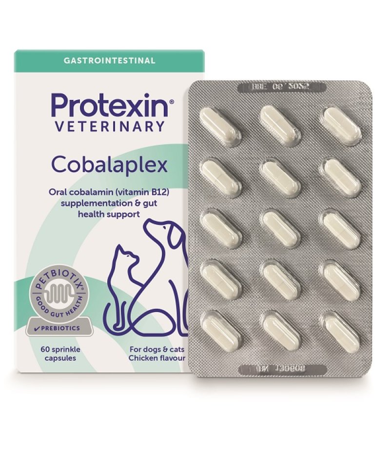 V COBALAPLEX 60CPS