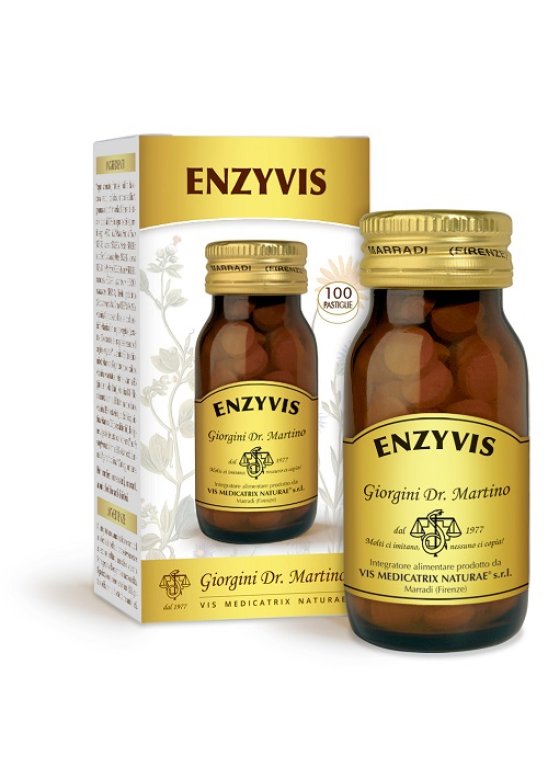 ENZYVIS 100PAST GIORGINI