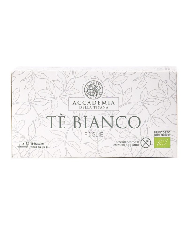 ACCADEMIA TIS TE' BI FGL16FILT