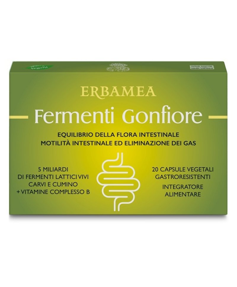 FERMENTI GONFIORE 20CPS GASTRO