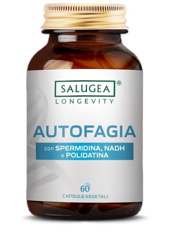 SALUGEA AUTOFAGIA 60CPS SALUGEA AUTOFAGIA 60CPS