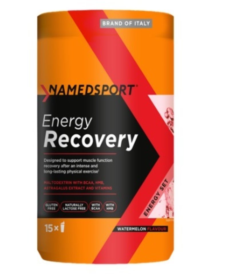 ENERGY RECOVERY WATERMELON600G ENERGY RECOVERY WATERMELON600G