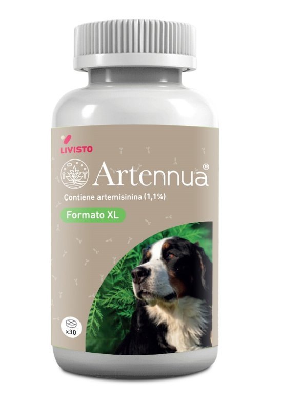 V ARTENNUA XL 30CPR LIVISTO