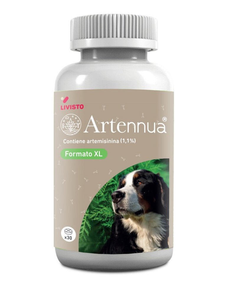 V ARTENNUA XL 30CPR LIVISTO V ARTENNUA XL 30CPR LIVISTO