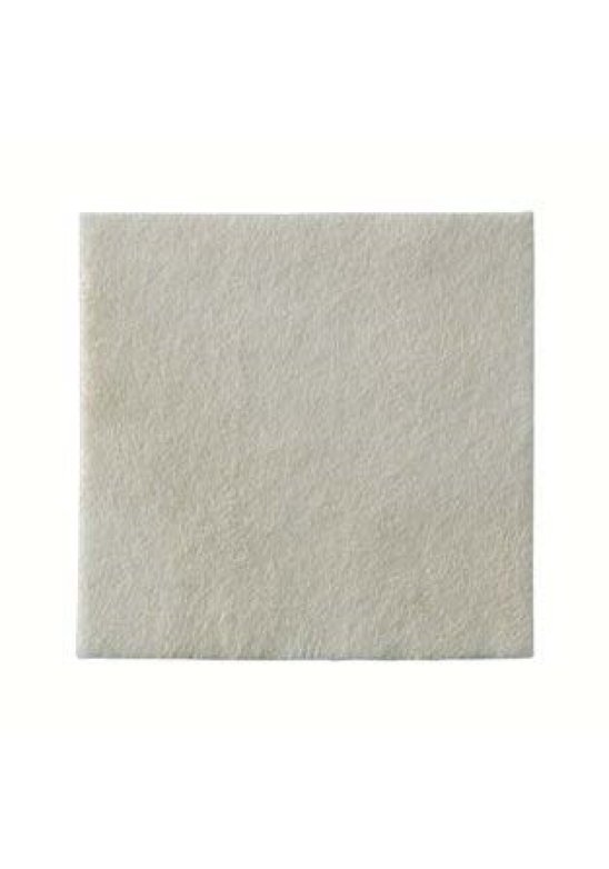 BIATAIN ALGINATE AG 10X10 10PZ
