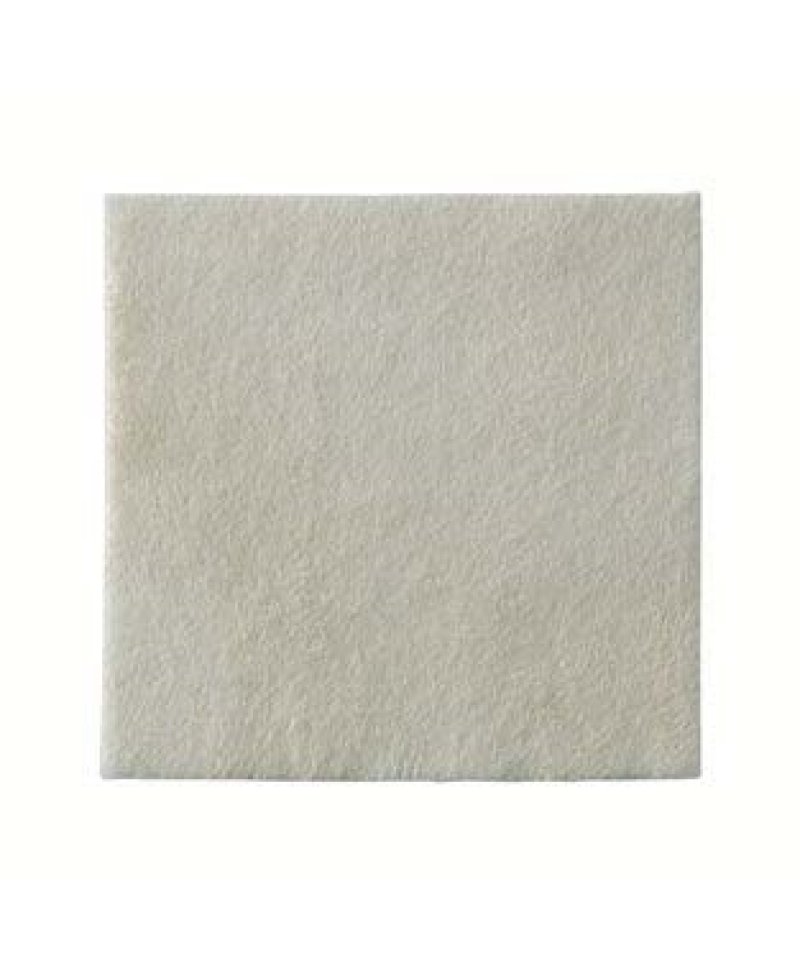 BIATAIN ALGINATE AG 10X10 10PZ