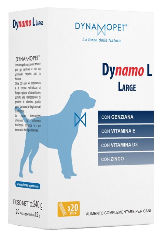 DYNAMO L LARGE 20STICK 12G