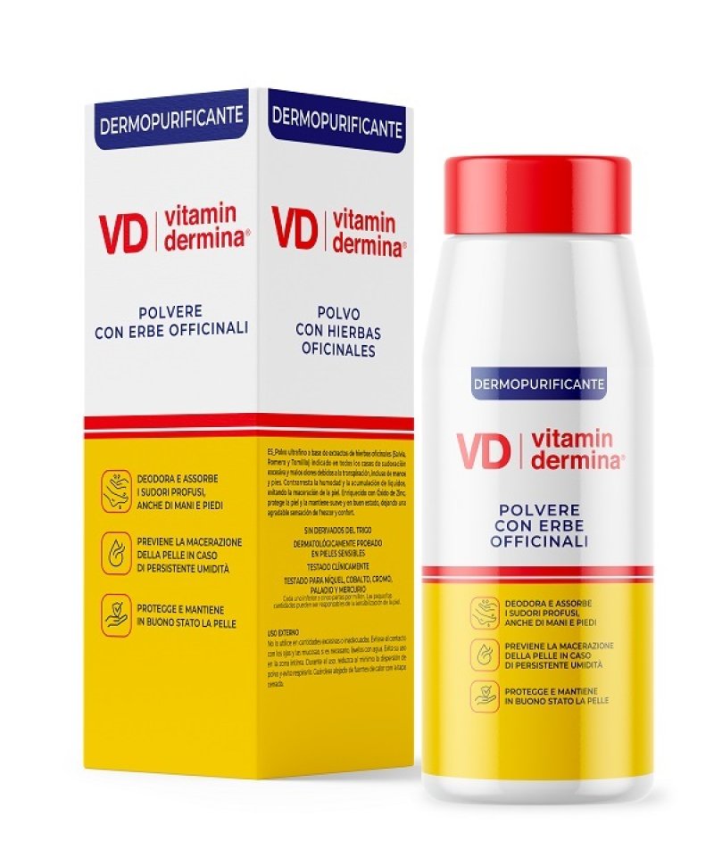 VITAMINDERMINA POLV ERBE OF 100G