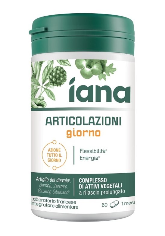 IANA ARTICOLAZIONI GIORNO 60CPR