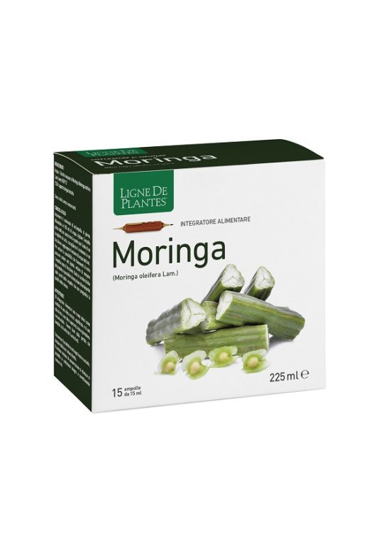 MORINGA 15AB 15ML