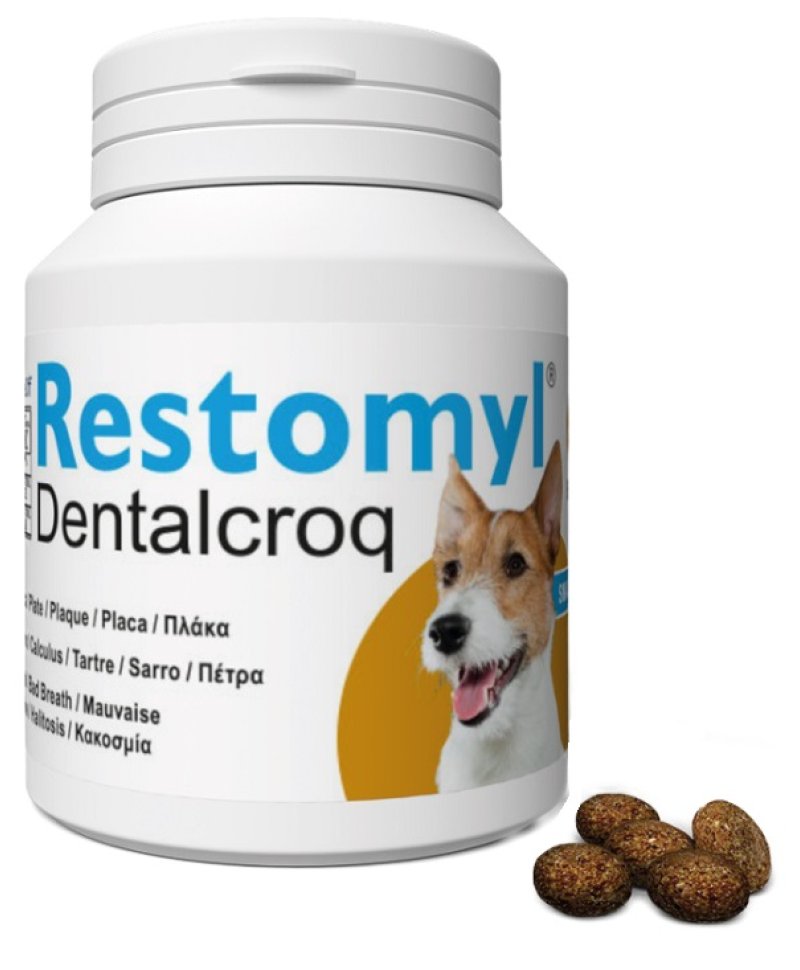 V RESTOMYL DENTRALCROQ CANE 60G