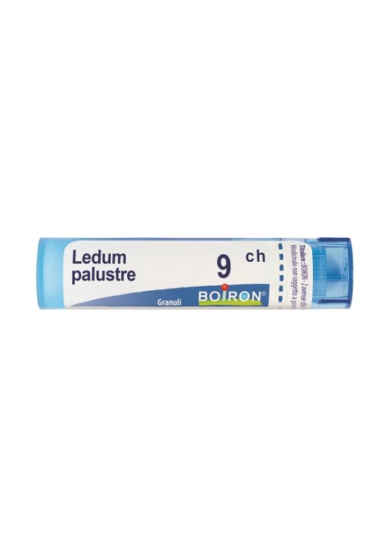 LEDUM PALUST 9CH GR