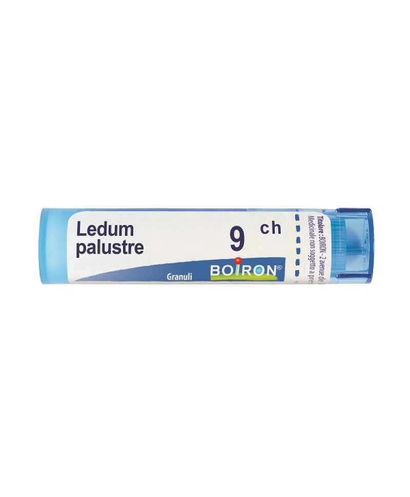 LEDUM PALUST 9CH GR