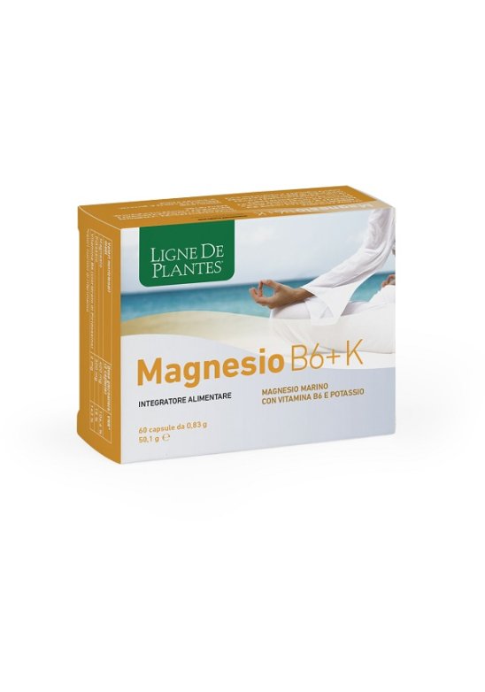 MAGNESIO B6 + K 60CPS NATURA S