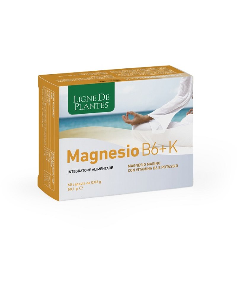 MAGNESIO B6 + K 60CPS NATURA S
