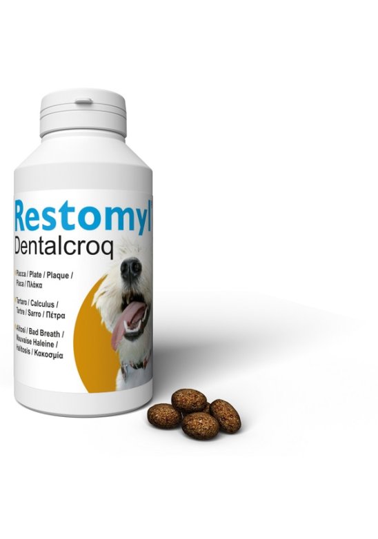 V RESTOMYL DENTALCROQ CANE 150G