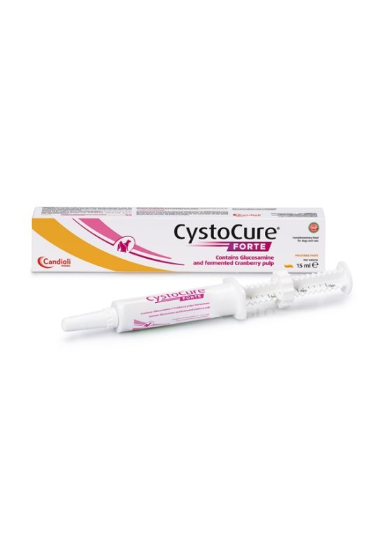 CYSTOCURE FORTE PASTA 15ML