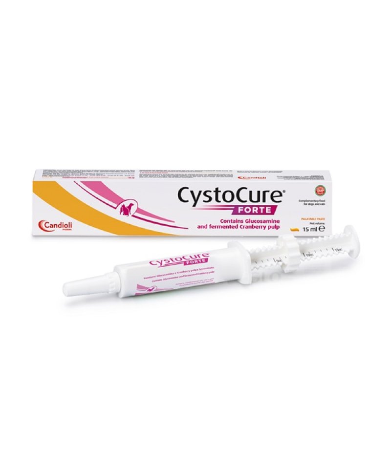 CYSTOCURE FORTE PASTA 15ML CYSTOCURE FORTE PASTA 15ML