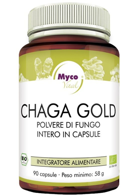 CHAGA GOLD 90CPS N/F HIFAS DA TE