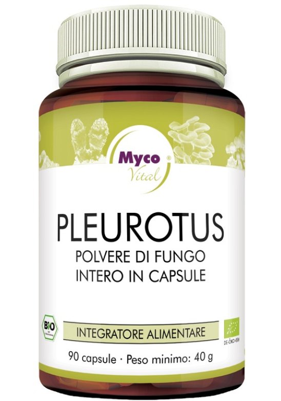 PLEUROTUS 90CPS N/F HIFAS DA TER
