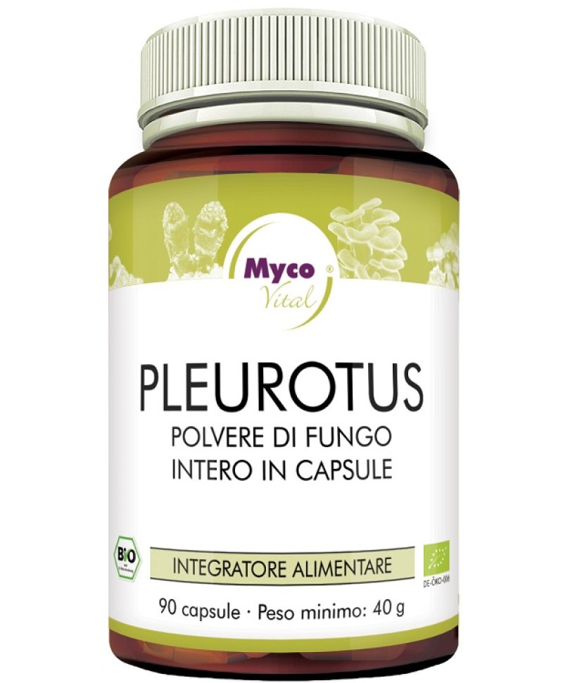 PLEUROTUS 90CPS N/F HIFAS DA TER