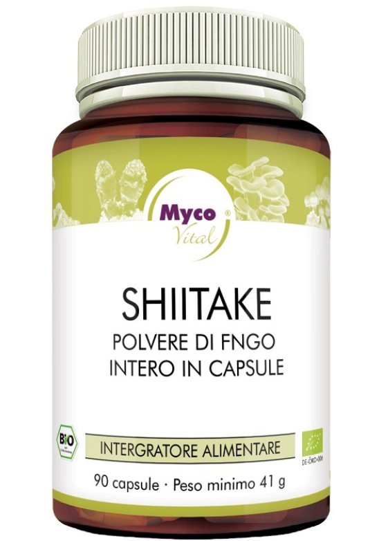 SHIITAKE 90CPS N/F HIFAS DA TERR SHIITAKE 90CPS N/F HIFAS DA TERR