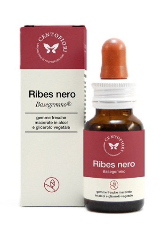 BASEGEMMO RIBES NERO 30ML