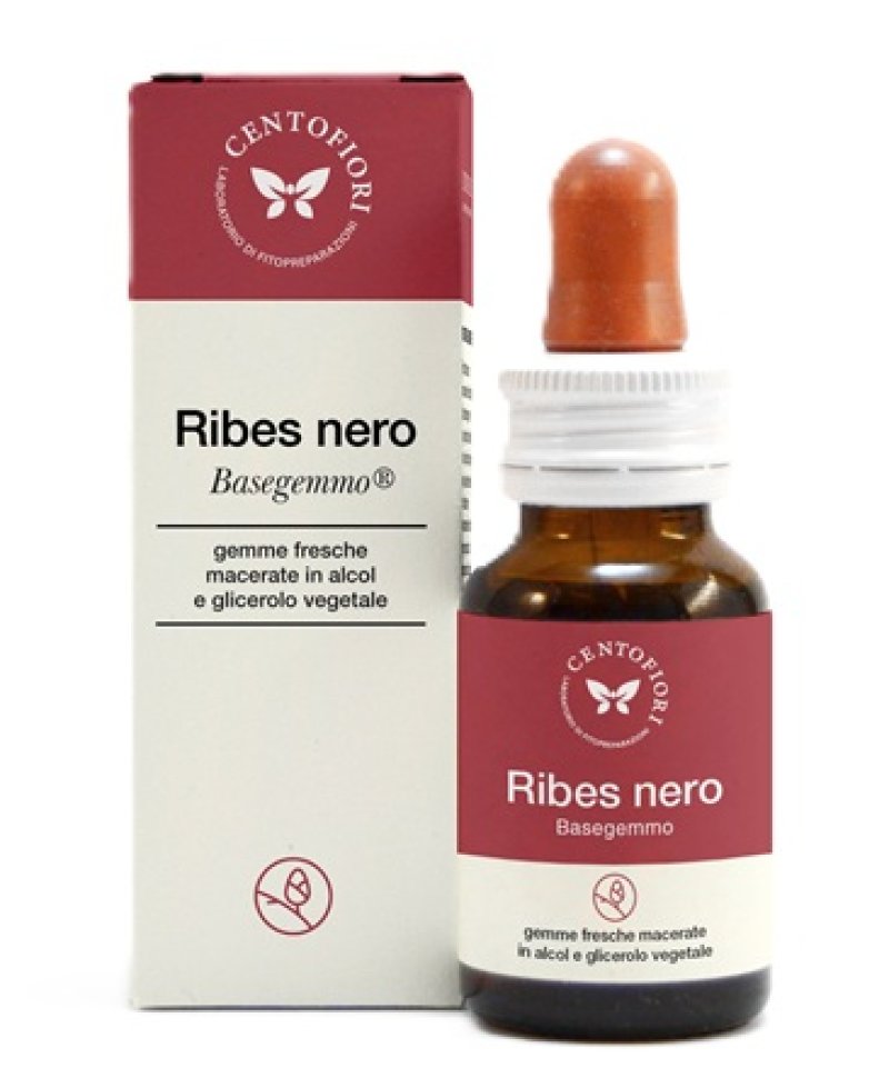 BASEGEMMO RIBES NERO 30ML BASEGEMMO RIBES NERO 30ML
