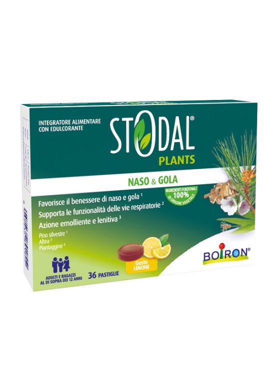 STODAL PLANTS LIMONE 36PAST