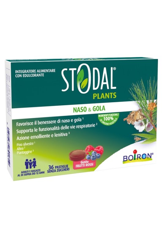STODAL PLANTS FRUTTI RO 36PAST