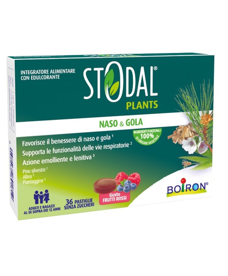 STODAL PLANTS FRUTTI RO 36PAST