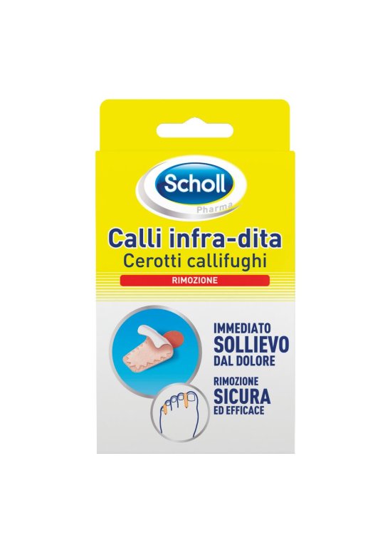 SCHOLL CER CALLIF CAL INFRADIT