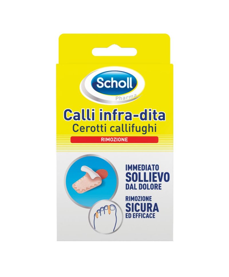 SCHOLL CER CALLIF CAL INFRADIT