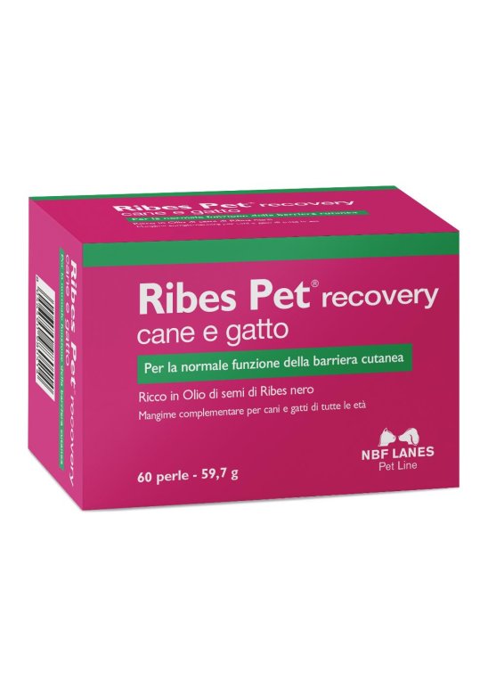 RIBES PET RECOVERY 60PRL