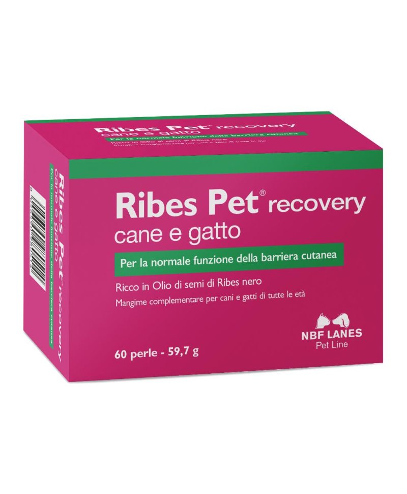 RIBES PET RECOVERY 60PRL