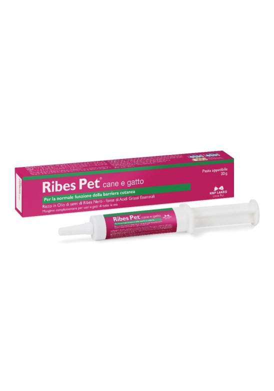 RIBES PET PASTA 30G