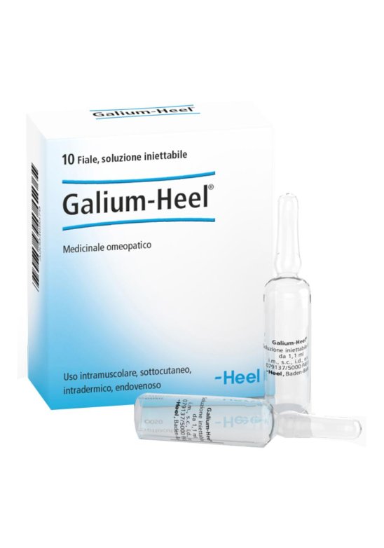 GALIUM 10F 1,1ML HEEL