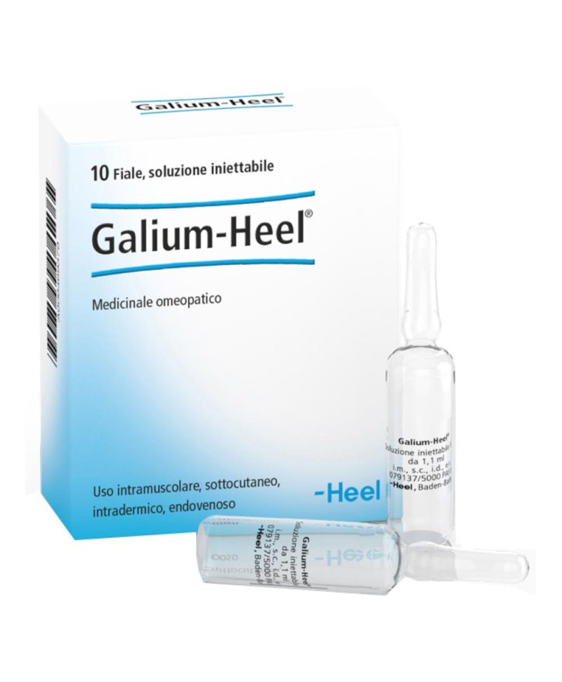 GALIUM 10F 1,1ML HEEL