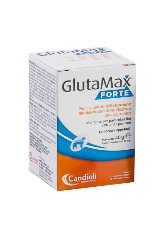 GLUTAMAX FORTE 40 Compresse