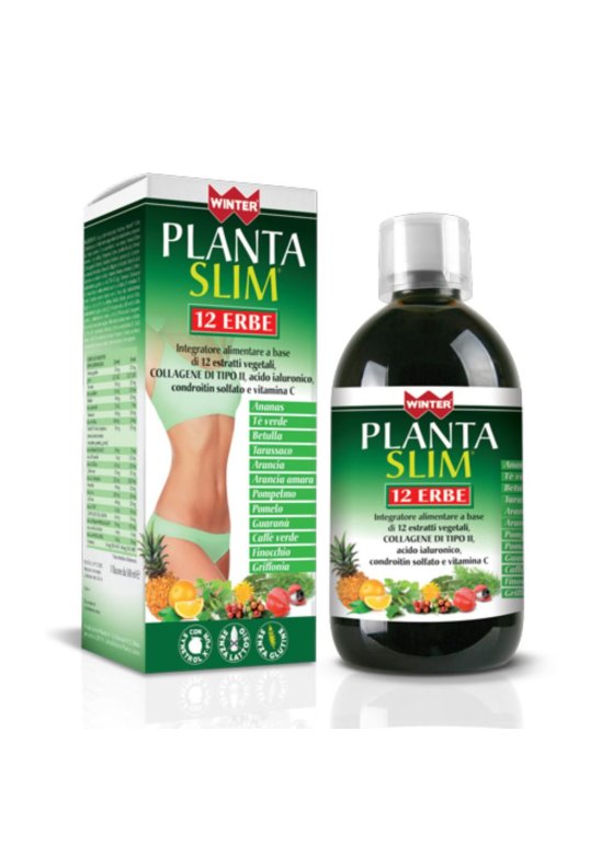 WINTER PLANTA SLIM 12ERBE500ML