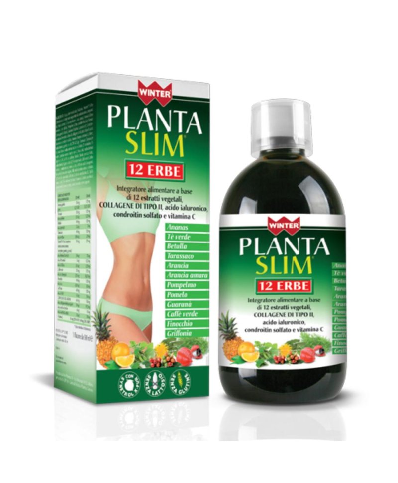 WINTER PLANTA SLIM 12ERBE500ML