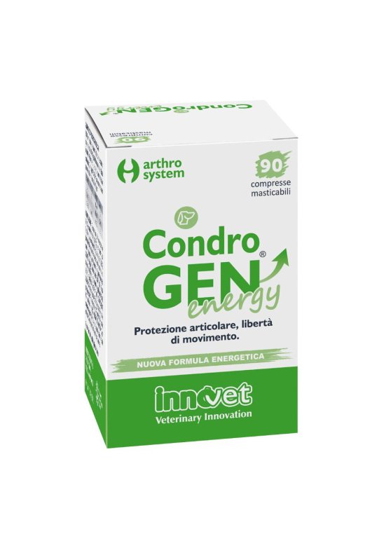 CONDROGEN ENERGY 90 Compresse MASTIC