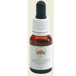 AUS BUSH MINT GTT 15ML