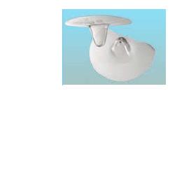 ARDO TULIPS PARACAP. LA 24MM 2PZ