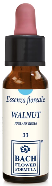WALNUT ORIGINAL 10ML Gocce