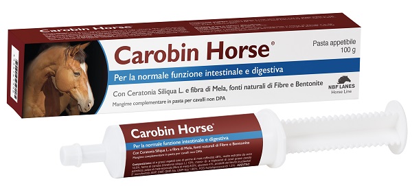 CAROBIN HORSE PASTA 100G